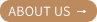 ABOUT US 图标.png